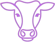 photo_2026-03-29_16-16-09-removebg-preview